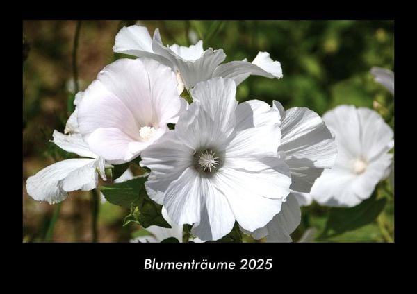 Produktbild: Blumentr&auml;ume 2025 Fotokalender DIN A3
