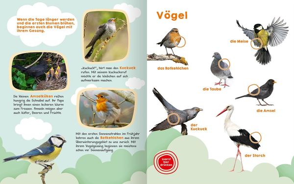 Produktbild: Mein gro&szlig;es Ger&auml;uschebuch &ndash; Fr&uuml;hling