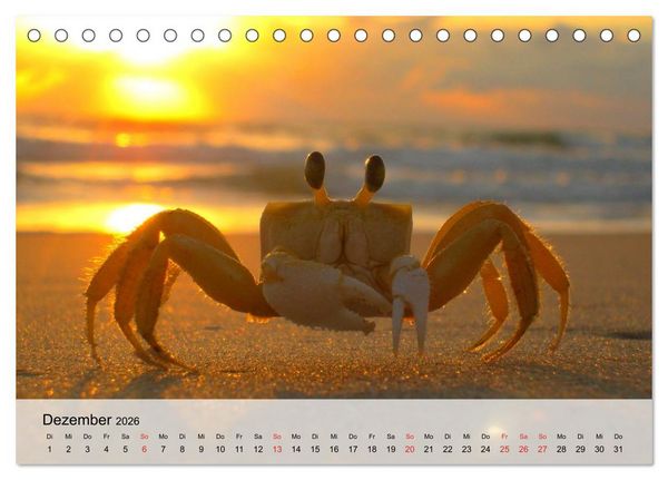 Produktbild: Krabben. Lustige Aliens (Tischkalender 2026 DIN A5 quer), CALVENDO Monatskalender