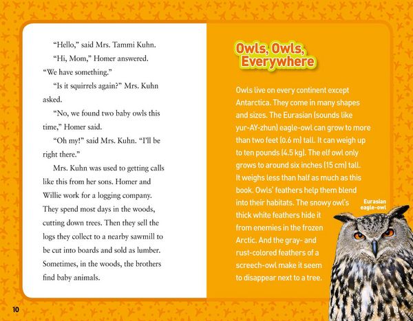 Produktbild: Hoot, Hoot, Hooray!