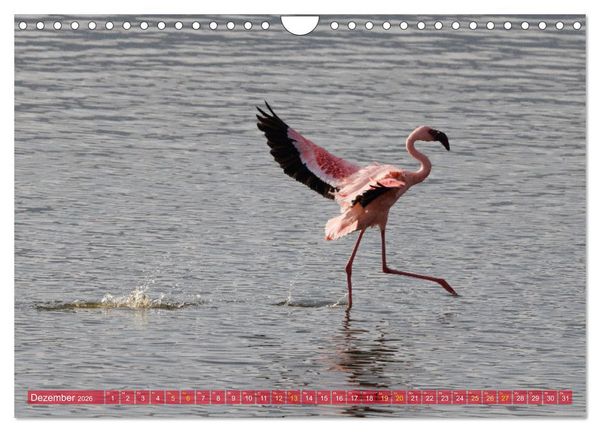 Produktbild: Flamingos am Lake Bogoria - Kenia (Wandkalender 2026 DIN A4 quer), CALVENDO Monatskalender
