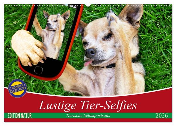 Produktbild: Lustige Tier-Selfies. Tierische Selbstportraits (Wandkalender 2026 DIN A2 quer), CALVENDO Monatskalender
