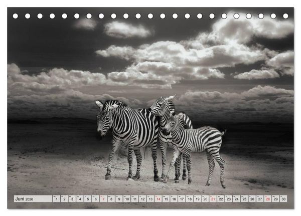 Produktbild: Wilde Tiere in schwarz-wei&szlig; (Tischkalender 2026 DIN A5 quer), CALVENDO Monatskalender