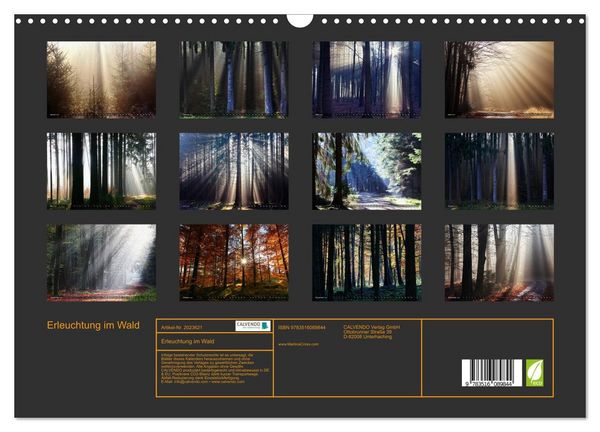 Produktbild: Erleuchtung im Wald (Wandkalender 2026 DIN A3 quer), CALVENDO Monatskalender