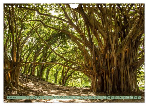 Produktbild: Big Island - Reise in eine unvergessliche Welt (Wandkalender 2026 DIN A4 quer), CALVENDO Monatskalender