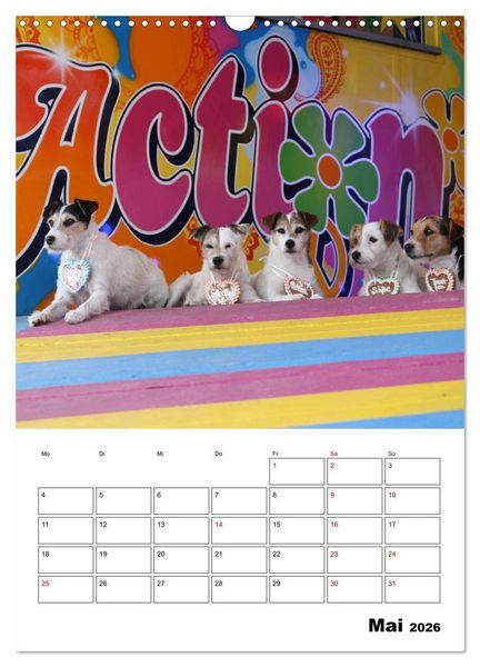 Produktbild: Tender Fellows - Parson Russell Terrier (Wandkalender 2026 DIN A3 hoch), CALVENDO Monatskalender