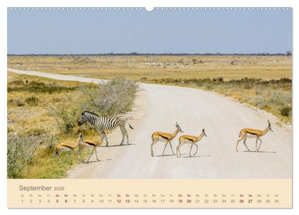 Produktbild: Einmalige Landschaften in Afrika (hochwertiger Premium Wandkalender 2026 DIN A2 quer), Kunstdruck in Hochglanz
