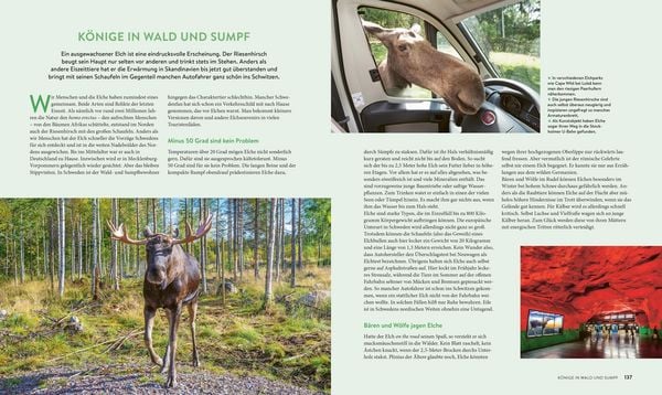Produktbild: Roadtrips Schweden