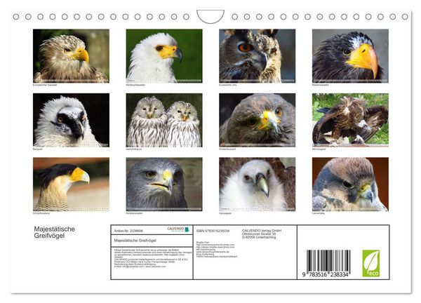 Produktbild: Majest&auml;tische Greifv&ouml;gel (Wandkalender 2026 DIN A4 quer), CALVENDO Monatskalender
