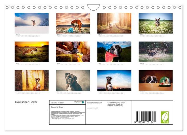 Produktbild: Deutscher Boxer (Wandkalender 2027 DIN A4 quer), CALVENDO Monatskalender