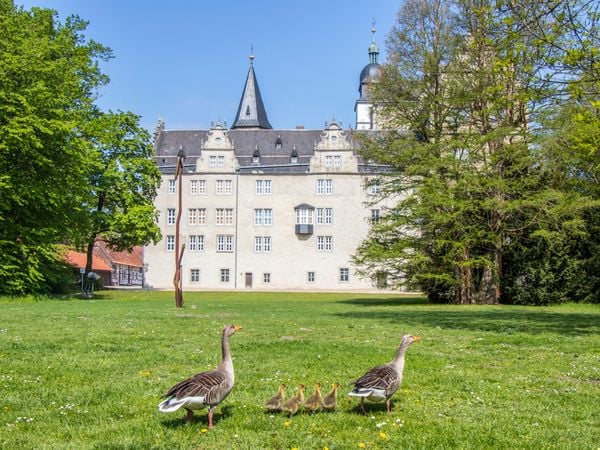 Produktbild: CALVENDO Puzzle Schloss Wolfsburg - endlich als Puzzle. | 1000 Teile Lege-Gr&ouml;&szlig;e 64x48cm Foto-Puzzle f&uuml;r gl&uuml;ckliche Stunden