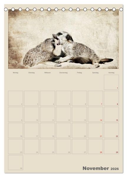 Produktbild: Lustige Erdm&auml;nnchen (Tischkalender 2026 DIN A5 hoch), CALVENDO Monatskalender