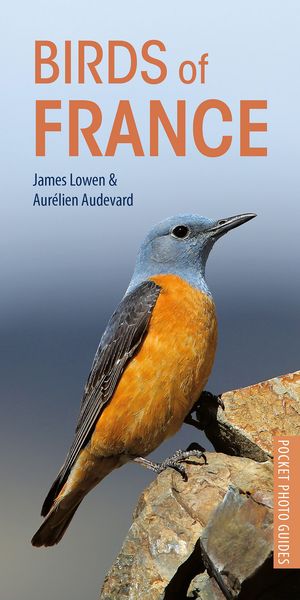 Produktbild: Birds of France