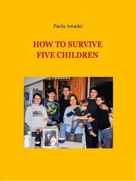 Produktbild: How To Survive Five Children