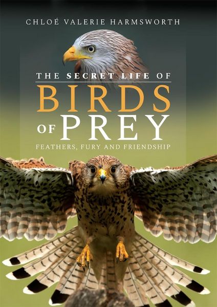 Produktbild: Secret Life of Birds of Prey