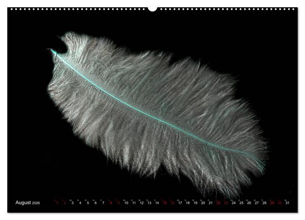 Produktbild: Federleichte Momente (Wandkalender 2026 DIN A2 quer), CALVENDO Monatskalender