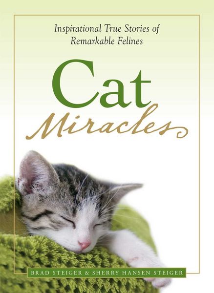 Produktbild: Cat Miracles