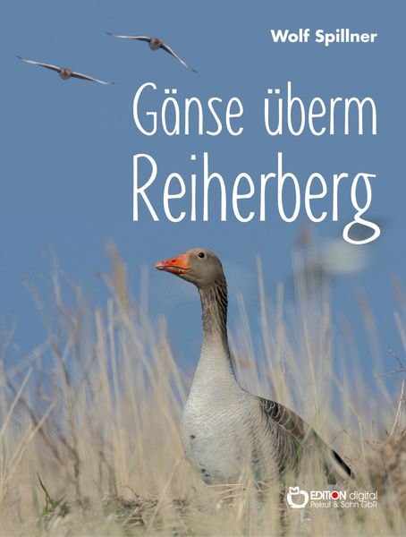 Produktbild: G&auml;nse &uuml;berm Reiherberg