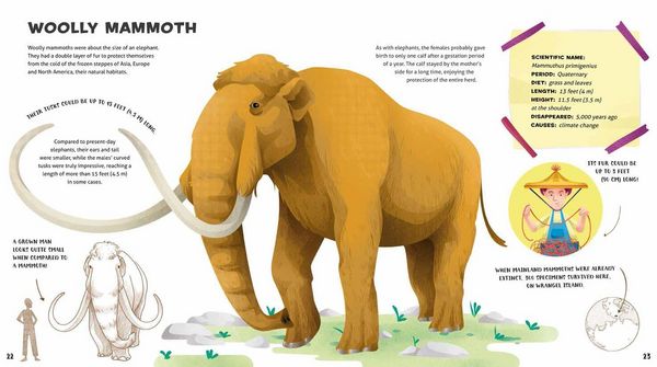 Produktbild: Weird and Wonderful Extinct Animals