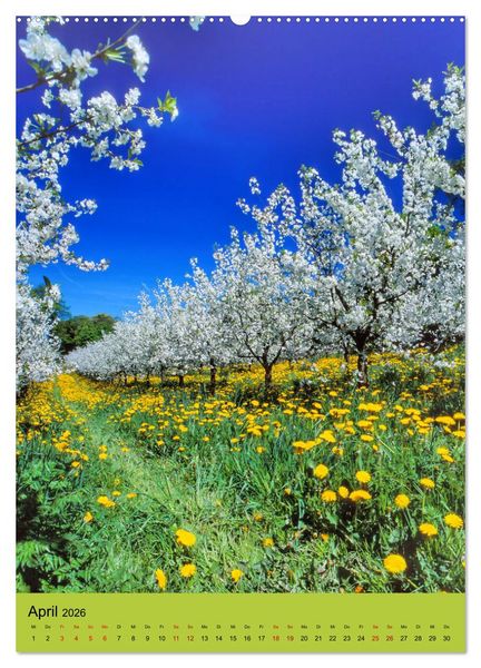Produktbild: Schleswig-Holstein. Du bist so sch&ouml;n. (hochwertiger Premium Wandkalender 2026 DIN A2 hoch), Kunstdruck in Hochglanz