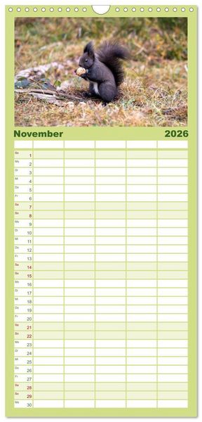 Produktbild: Familienplaner 2026 - Eichh&ouml;rnchenliebe mit 5 Spalten (Wandkalender, 21 x 45 cm) CALVENDO