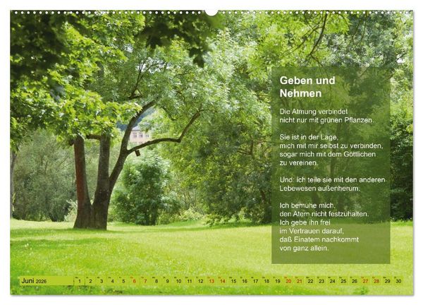 Produktbild: Im Rhythmus der Jahreszeiten und des Kirchenjahres (Wandkalender 2026 DIN A2 quer), CALVENDO Monatskalender
