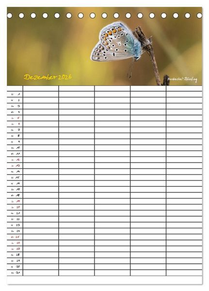 Produktbild: Schmetterlinge in Bayern (Tischkalender 2026 DIN A5 hoch), CALVENDO Monatskalender
