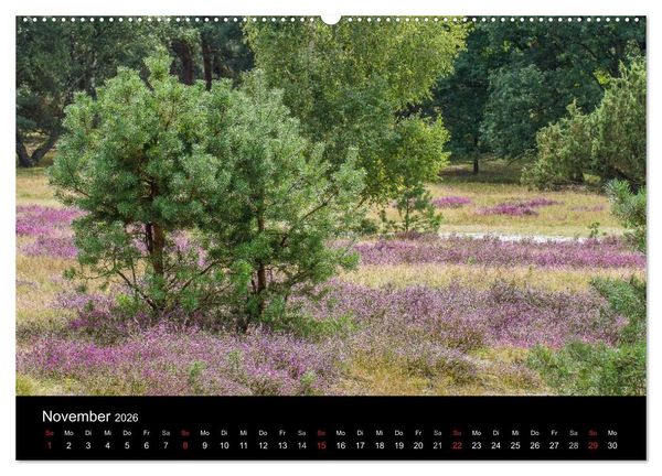 Produktbild: L&uuml;neburger Heide (hochwertiger Premium Wandkalender 2026 DIN A2 quer), Kunstdruck in Hochglanz