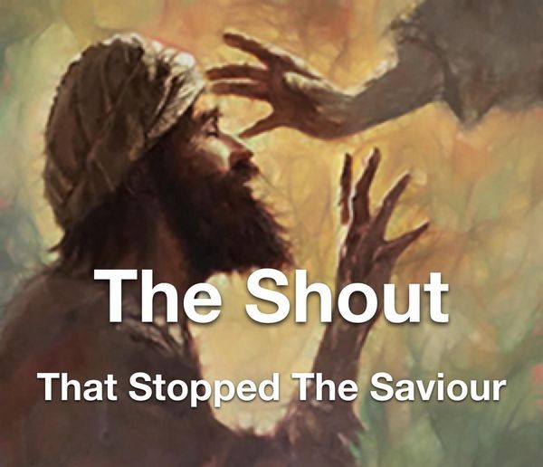 Produktbild: The Shout That Stopped The Saviour