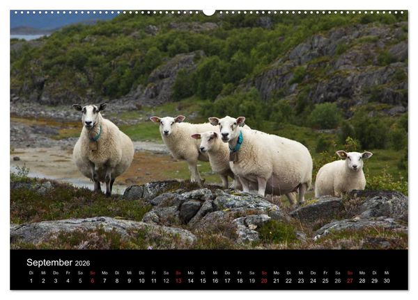Produktbild: Norwegen - Faszination des Nordens (hochwertiger Premium Wandkalender 2026 DIN A2 quer), Kunstdruck in Hochglanz