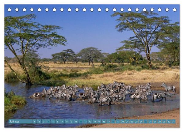 Produktbild: Afrikas Tierwelt: Zebras (Tischkalender 2026 DIN A5 quer), CALVENDO Monatskalender