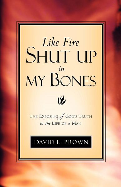 Produktbild: Like Fire Shut Up In My Bones