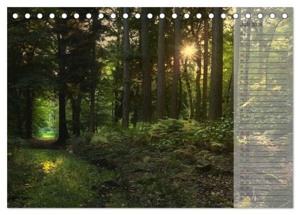 Produktbild: Unser Wald - Magische Sichten in norddeutsche W&auml;lder / Geburtstagskalender (Tischkalender 2026 DIN A5 quer), CALVENDO Monatskalender