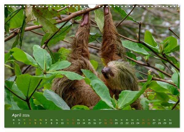 Produktbild: Costa Rica - Naturparadies zwischen Karibik und Pazifik (Wandkalender 2026 DIN A3 quer), CALVENDO Monatskalender
