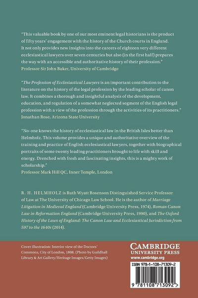 Produktbild: The Profession of Ecclesiastical Lawyers