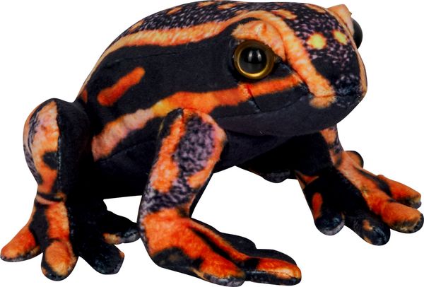 Produktbild: Pfeilgiftfrosch / Nature Zoom