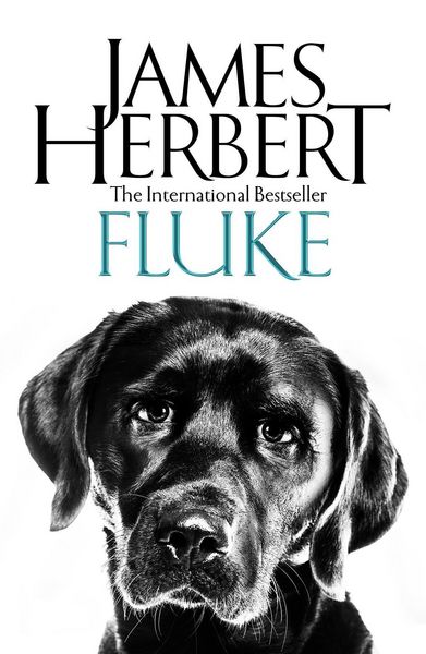 Produktbild: Fluke