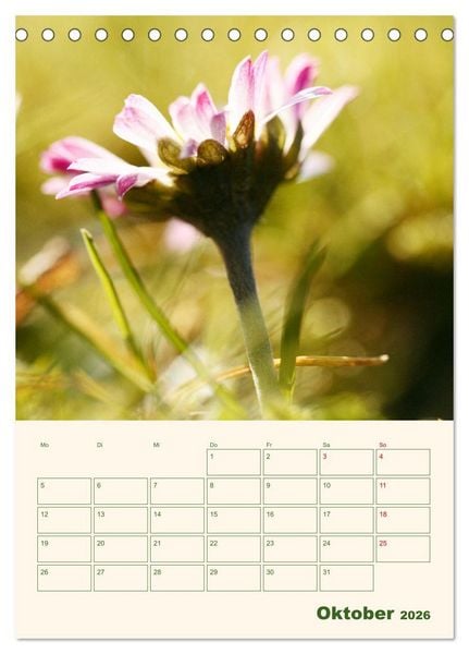 Produktbild: Vertr&auml;umte G&auml;nsebl&uuml;mchen (Tischkalender 2026 DIN A5 hoch), CALVENDO Monatskalender