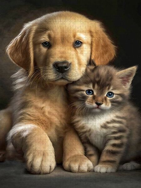 Produktbild: CALVENDO Puzzle Beste Freunde | 1000 Teile Lege-Gr&ouml;&szlig;e 64x48cm Foto-Puzzle f&uuml;r gl&uuml;ckliche Stunden