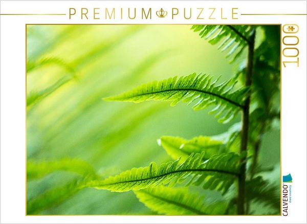 CALVENDO Puzzle Wurmfarn (Dryopteris filix-mas) | 1000 Teile Lege-Größe 64x48cm Foto-Puzzle für glückliche Stunden, Sonstige von , Calvendo Puzzle,