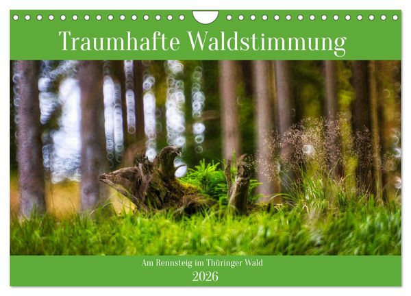 Traumhafte Waldstimmung am Rennsteig im Thüringer Wald (Wandkalender 2026 DIN A4 quer), CALVENDO Monatskalender