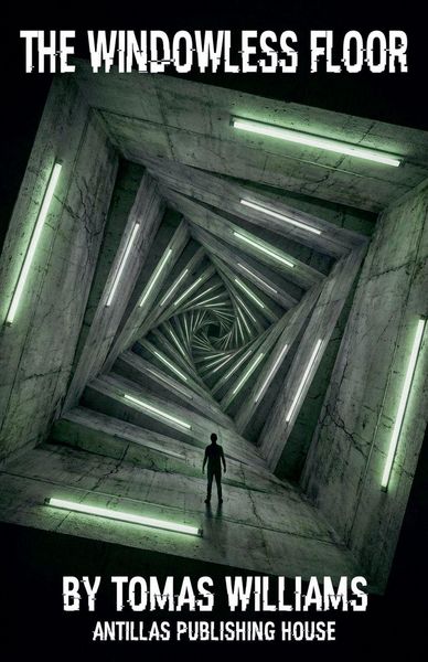 Produktbild: The Windowless Floor
