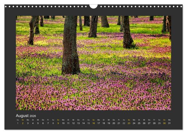 Produktbild: Poesie der Natur (Wandkalender 2026 DIN A3 quer), CALVENDO Monatskalender