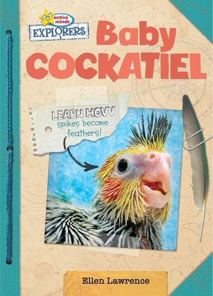 Produktbild: Baby Cockatiel