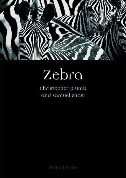 Produktbild: Zebra