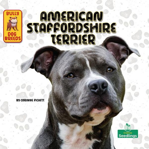 Produktbild: American Staffordshire Terrier