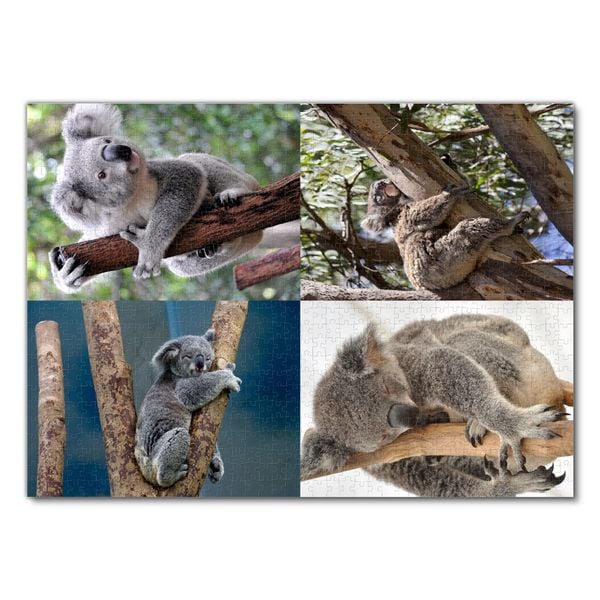 Lais Puzzle Koala Australie 1000 pièces