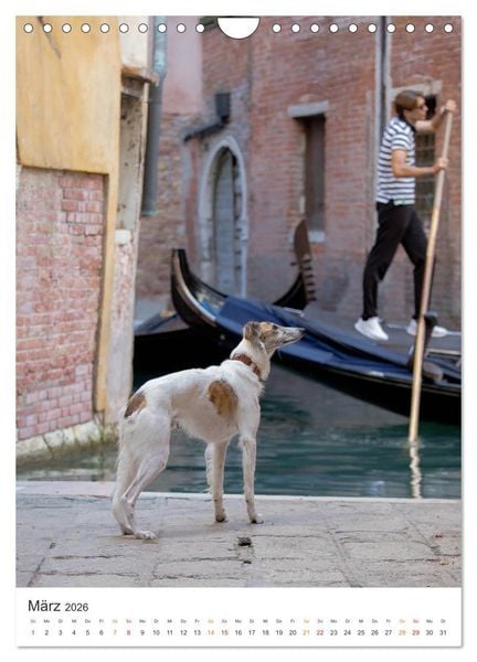 Produktbild: Silken Windsprites - Zwei Windhunde erobern die Lagunenstadt Venedig (Wandkalender 2026 DIN A4 hoch), CALVENDO Monatskalender