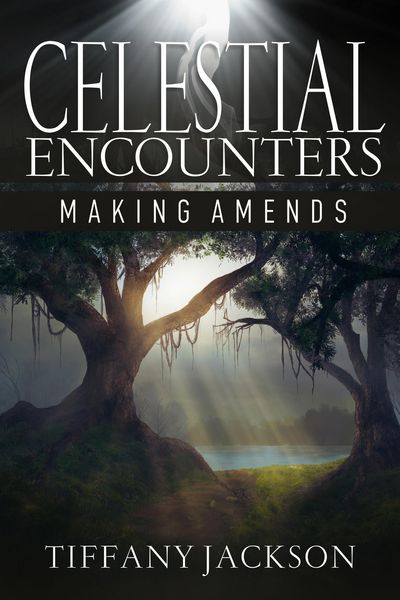 Produktbild: Celestial Encounters: Making Amends