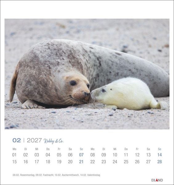 Produktbild: Robby & Co. Postkartenkalender 2027